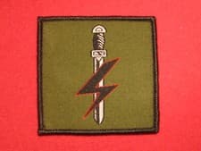 Image of BRITISH ARMY SFSG SPECIAL FORCES SUPPORT GROUP TRF BADGE