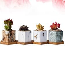 Image of 4 Pcs House Plant Pots Succulent Flower Decorative Ceramic Succulents