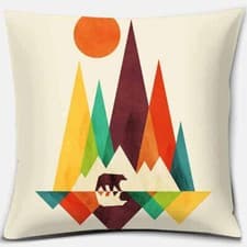 Image of 2 Pack Abstract wildflower mountain geometric square cushion cover 45cm*45cm)