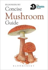Image of Concise Mushroom Guide by  Bloomsbury - 9781472963789