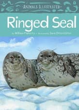 Image of Animals Illustrated: Ringed Seal by William Flaherty HARDBACK 9781772273700