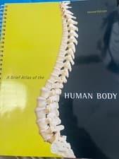 Image of A Brief Atlas of the Human Body, Second Edition