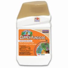 Image of Bonide Captain Jacks Copper Fungicide Organic Gardening Mildew 473ml