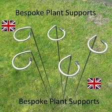 Image of Plant supports/stakes.Metal 5 Pack in 60,80,100,130cm 6mm mild steel Made in UK
