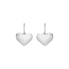 Image of Hot Diamonds Desire Hook Earrings