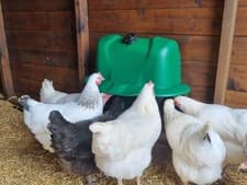 Image of Plastic Poultry Drinker 12L, SMART Chicken Hens Bird Rain Cover High Quality