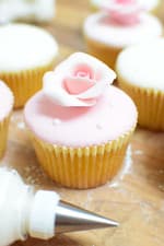 Image of Tala Icing Syringe Set with 6 Nozzles,White,Icing Syringe with 6 Nozzles