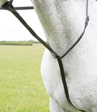 Image of Shires Blenheim Standing Martingale- 444G