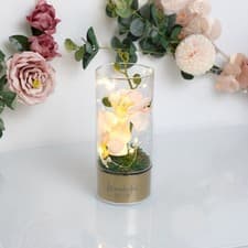 Image of Peaches And Cream MUM Orchid & Flowers LED Tube Light