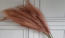 Image of Large Light Brown Tan Large Artificial Pampas Grass 3 Stems 115cm Tall Fluffy