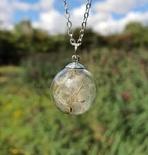 Image of Fairy Wish Real Dandelion Necklace Globe Pendant Silver Chain Gifts For Her Love