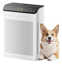 Image of EVALIT Air Purifier for Bedroom Large Room Up to 2200 Ft² with Washable Filters
