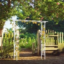Image of Super Strong Metal Garden Arches Climbing Plants Arbors White Wedding Arch Decor