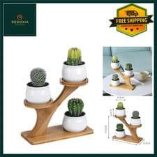 Image of Chic Ceramic Succulent Pots with 3 Tier Bamboo Stand Holder, 3 Pack