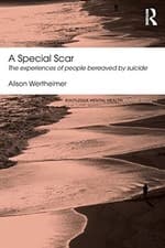 Image of A Special Scar - Paperback NEW Alison Wertheim July 2013