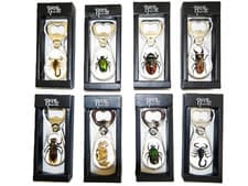 Image of Real Insect Bottle Opener Scorpion Beetle Hornet Crab Fridge Magnet