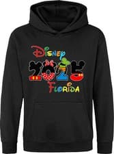 Image of Disney 2025 Florida Hoodie, Disneyworld Florida Pullover, Disneyworld Unisex Top