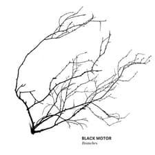 Image of Black Motor - Branches - CD - D659z