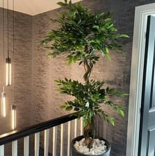 Image of Artificial Ficus Tree Indoor Large 150cm (5ft) Realistic Premium Home Leaf