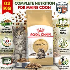 Image of ROYAL CANIN CAT MAINE COON BREED 400g, 2kg, 4kg, 10kg : Adult Dry Kibble rc Food
