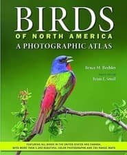 Image of Birds of North America A Photographic Atlas by Bruce M.  Beehler (Hardback Book)