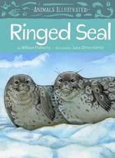 Image of Animals Illustrated: Ringed Seal by William Flaherty (English) Hardcover Book