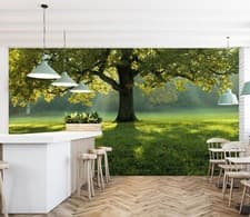 Image of 3D Spring Meadow ZHUB4848 Wallpaper Wall Mural Removable Self-adhesive Vera 23