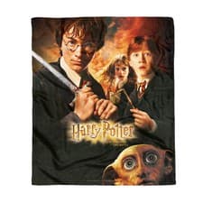 Image of Harry Potter Chamber Of Secrets Fleece Blanket
