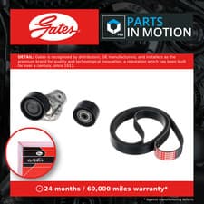 Image of Drive Belt Kit K037PK1685XS Gates Set 6000616503 6229930296 A6229930296 Quality