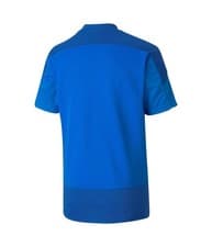 Image of Puma Boys Goal 23 Jr Training Soccer Jersey