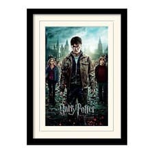 Image of HARRY POTTER - Mounted & Framed 30X40 Print - Deat NEW