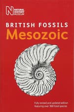 Image of British Mesozoic Fossils (British Fossils): 2