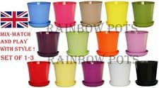 Image of Flower Pots Gloss Plastic Plant Pots Decor  + Saucer 16 COLOURS  SET 1 - 3 