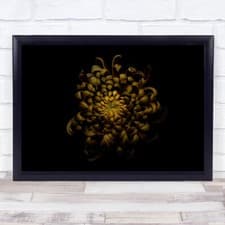 Image of Chrysanthemum Dark Yellow Flower Simple Wall Art Print