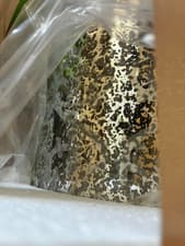 Image of Pier 1 Imports Mercury Scroll Pendant Lamp Hanging Ceiling Light Glass Mirror
