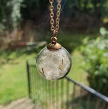 Image of Real Dandelion Wish Necklace Glass Globe Pendant Bronze Chain Gifts For Her Love