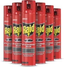 Image of Raid Ant & Cockroach Insect Killer Aerosol Spray Pack of 6 X 300ml