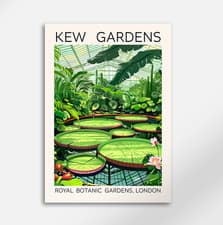 Image of Kew Gardens London Water Lily Pad Print Botanical Poster Vintage Print A2/ A3/A4
