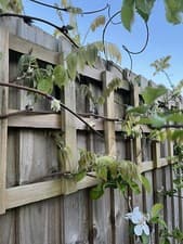 Image of Message Before Purchase CUSTOM SIZE Trellis Panel EXTRA STRONG Wooden Treated