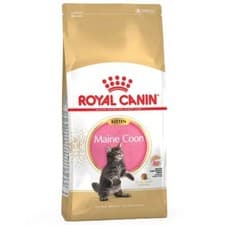 Image of ROYAL CANIN® Maine Coon Kitten Dry Food 4kg