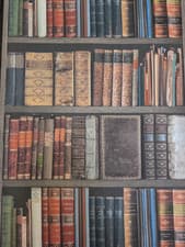 Image of Rasch Library wallpaper