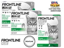 Image of FRONTLINE PLUS CAT Flea Treatment For Cats Kills Fleas Tick Lice 1, 3, 6 Pipette