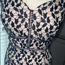 Image of Coast Navy & Blush Lace figure hugging Dress Size 12 new with tags