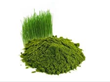 Image of Organic Wheatgrass Powder (New Zealand) UK Seller