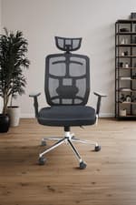 Image of WP Home Ergonomic Mesh Office Chair LA896,– Breathable Backrest, Adjustable Head