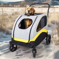 Image of Pet Stroller Pushchair 2-in-1 Folding Dog Cat Walk Travel Carrier for Car Rides