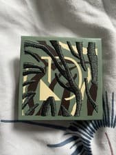 Image of diego dalla palma into the wild palette