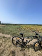 Image of Trek Marlin 4 2026 Mountain Bike 29 Inch Large Frame Immaculate Condition