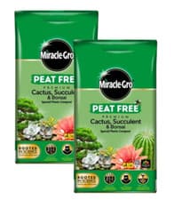 Image of Miracle-Gro Peat Free Cactus/Bonsai Compost 2 x 10L