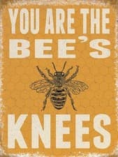Image of You are the bees knees, metal wall sign, 15x20cm. Brand new.